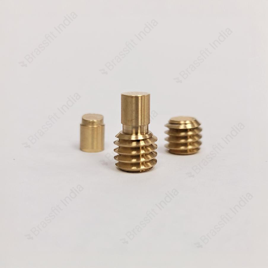 Brass Nuts Manufacturer